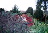 دیگه چی بزارم