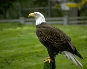 گردشگری  باحال