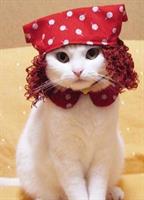 pishoooooo:))