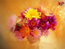 mohamad - mohmadpoor