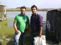 ba ali saeedi
