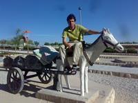 خر خوبی بود