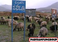 khh
