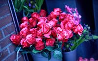 dedicated with love for you