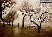 arshiya - shamaeezadeh