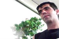 arash