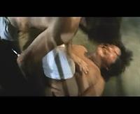 zarbe fani kar miler