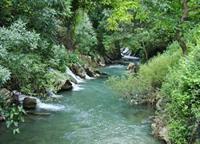 رودخانه سیروان