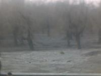boostanam