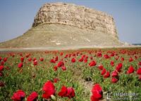 urmia