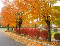 newjersey