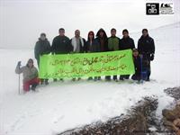 ماکو