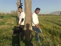 bazam mano amir hesam 