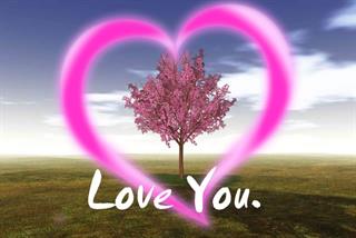 فقط      شیرازی