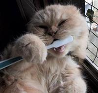 lk;lk;l;l