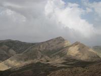 ندارد