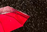 rain