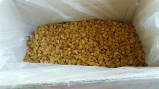 کشمش تیزابی، آفتابی،انگوری، مویز 