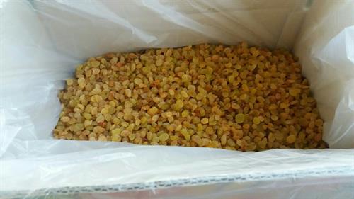 کشمش تیزابی، آفتابی،انگوری، مویز 