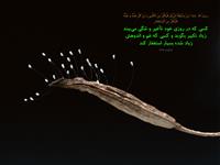 hadees