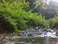 با سلام این عکس از طبیعت گرگان است روستای نقی اباد