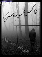 هیچکس تنهاییم را احساس نکرد.....