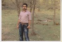 jangal