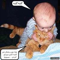 بدون شرح