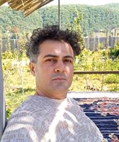 majidrezaei