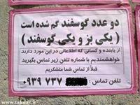 کدوم گوسفند؟
