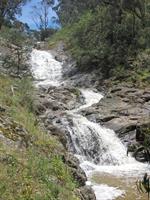 زیبای طبیعت
