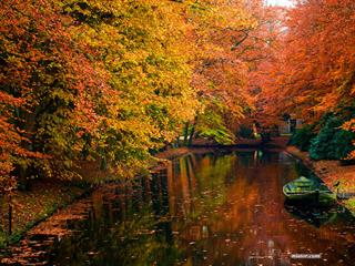 کسانی که قم هستند یا قم ساکنن