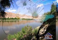 کاره خودمه