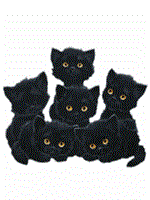 pishi