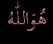 بی همتا