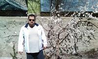 shahandasht
