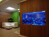 tarrahidecor 