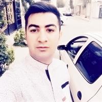 dsaee