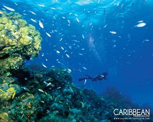 عجیب اما واقعی