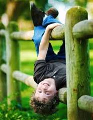 فرهنگی . اجتماعی