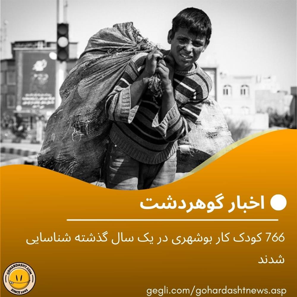 766 کودک کار بوشهری در یک سال گذشته شناسانی شدند
