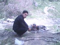 qwwe