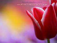 پاداش صلوات