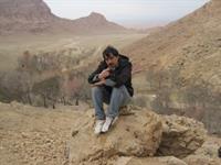 herat 231290