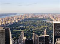 new-york