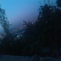 ziba nist?