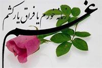 دلتنگم