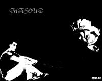 masoud