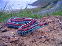 mar