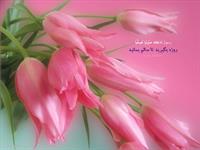 روزه گرفتن موجب سلامتي است